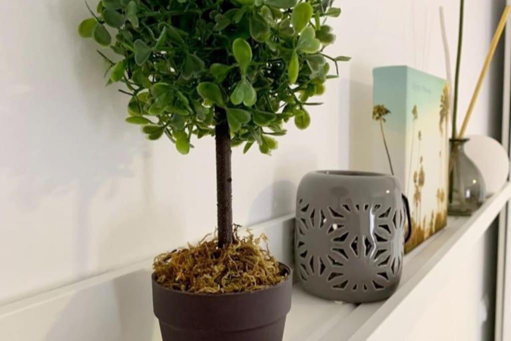 La Casa De Los Tiles Vélez Blanco Εξωτερικό φωτογραφία