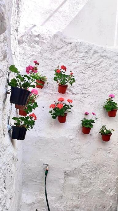 La Casa De Los Tiles Vélez Blanco Εξωτερικό φωτογραφία