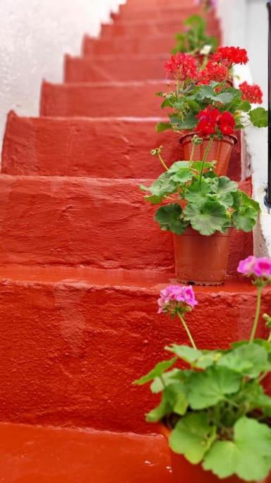 La Casa De Los Tiles Vélez Blanco Εξωτερικό φωτογραφία